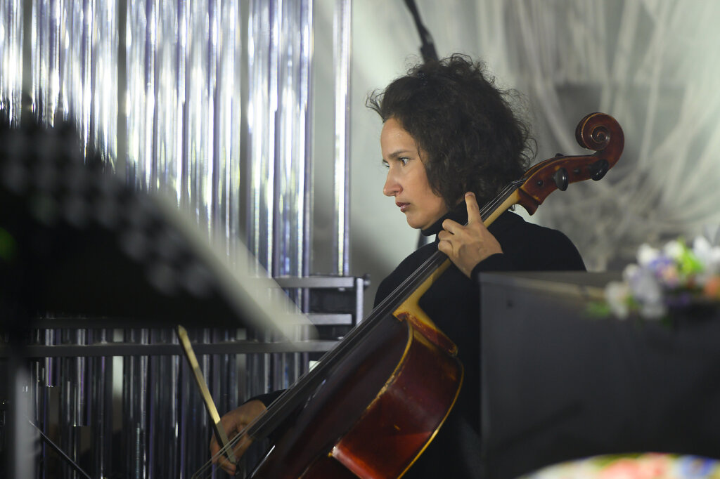 DSC-9238.jpg